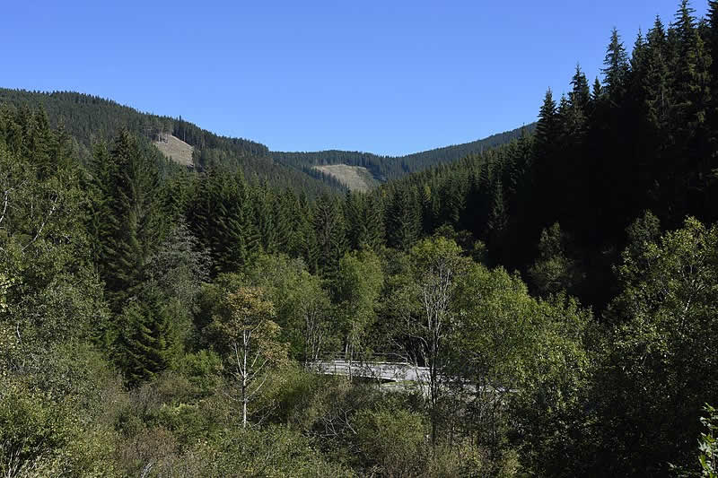 Bergstraße Feistritzsattel beim Hochwechsel