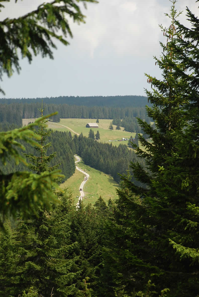 Bergstraße Hebalm im Norden der Koralpe