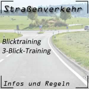 3-Blick-Training in der Fahrschule