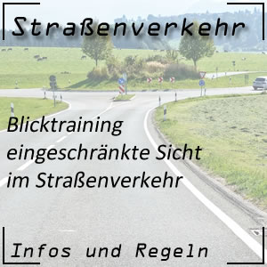 Eingeschränkte Sicht im Straßenverkehr