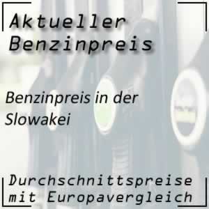 Benzinpreis Slowakei Preisvergleich mit Europa