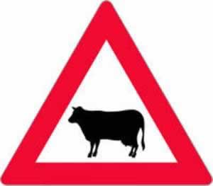 Verkehrszeichen Tiere Viehtrieb