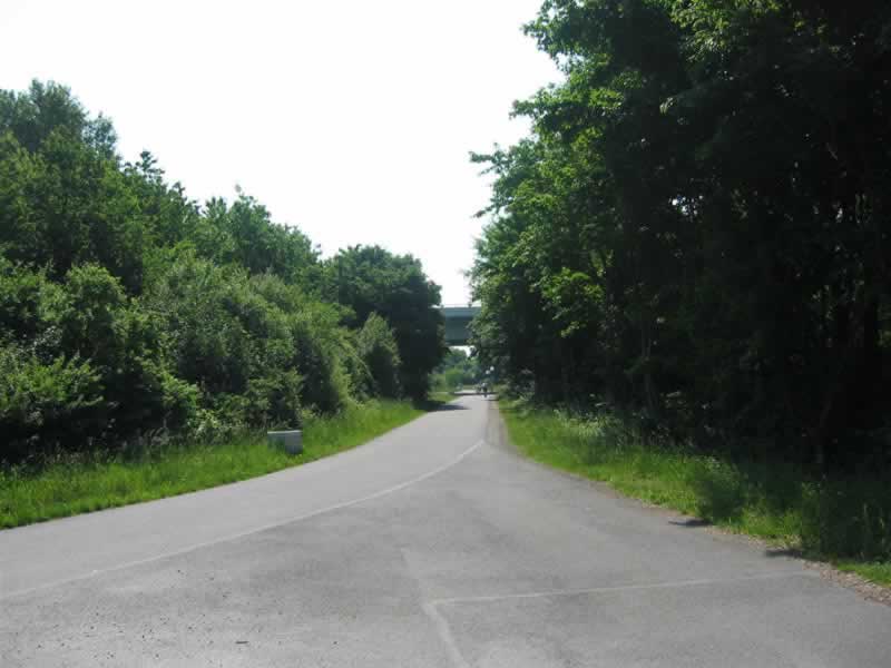 Donauinsel Sport Laufen Radfahren