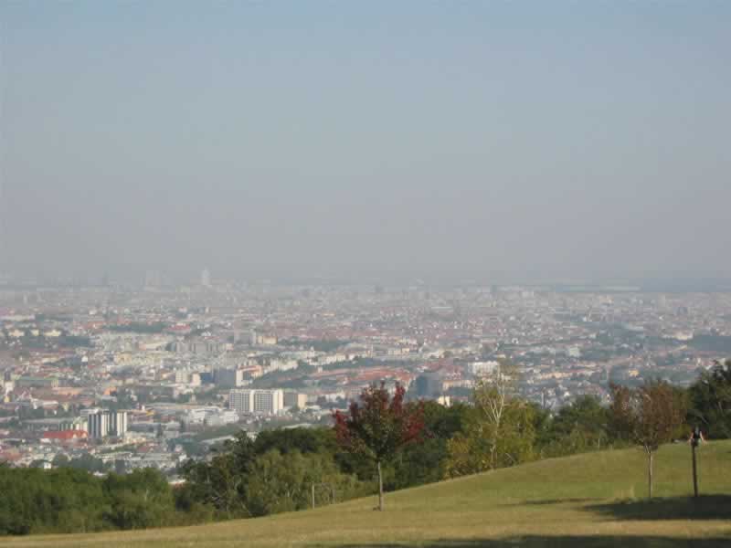 Lainzer Tiergarten Wiener Blick