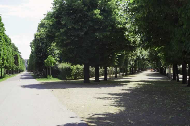 Augarten in Wien Heimat der Sängerknaben