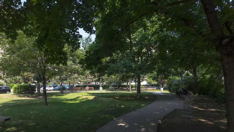 Braunhuberpark in Wien