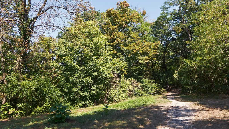 Dehnepark bei den Steinhofgründen in Wien