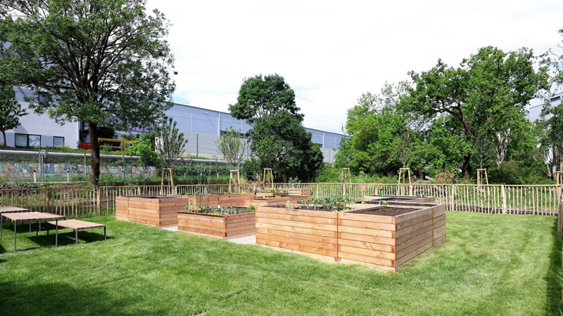 Gemeinschaftsgarten im Park
