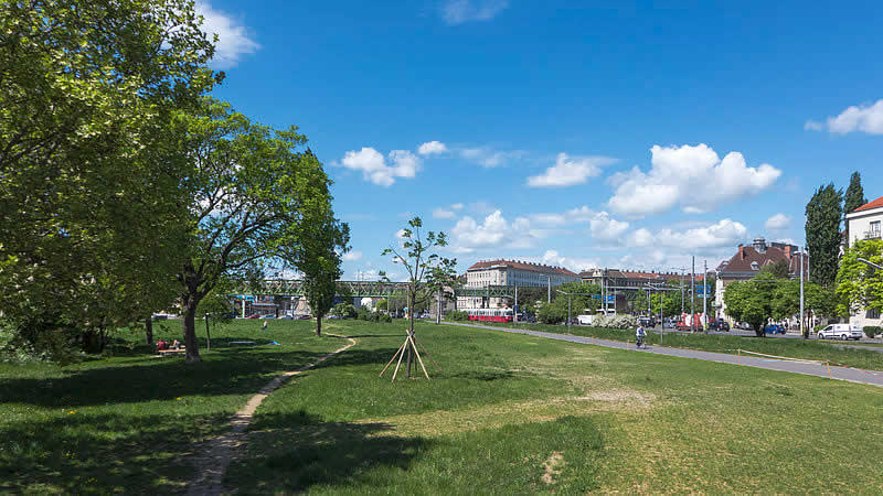 Stadtwildnis Gaudenzdorfer Gürtel in Wien Meidling