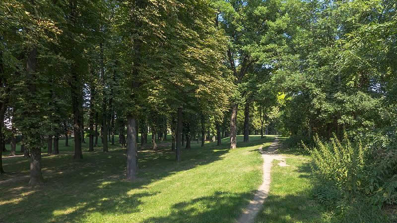 Hirschstettner Aupark in Wien-Donaustadt