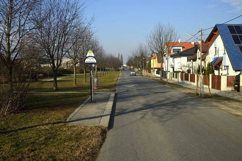 Kirschenallee Essling in Wien-Donaustadt