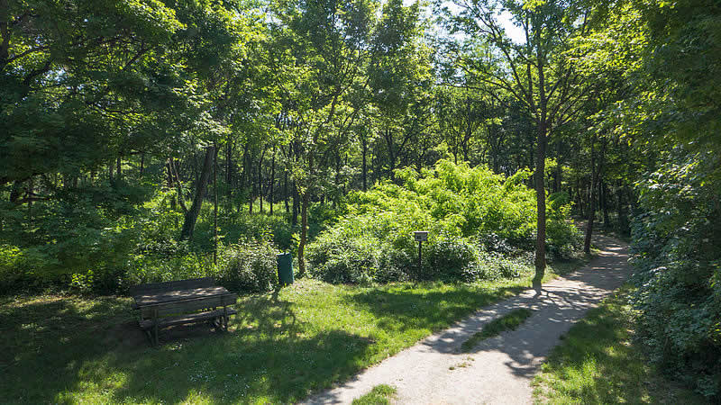 Laaer Wald in Wien Favoriten