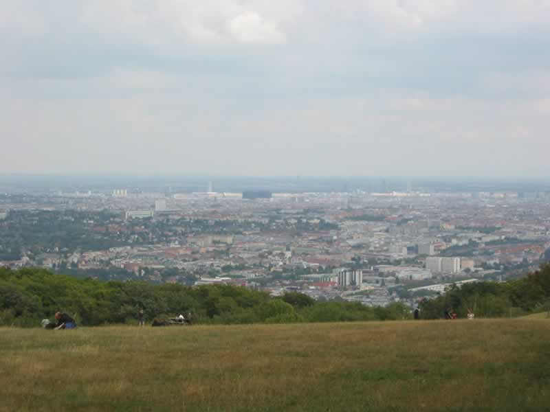 Lainzer Tiergarten mit Wiener Blick