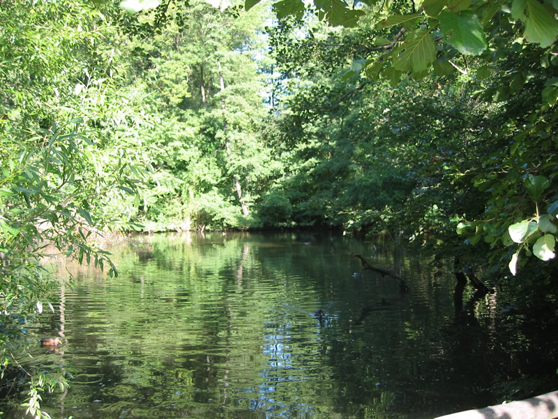 Schwarzenbergpark im Westen Wiens