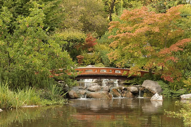 Setagayapark - japanischer Park in Wien 19