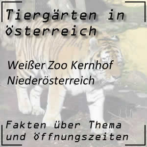Weißer Zoo Kernhof in Niederösterreich