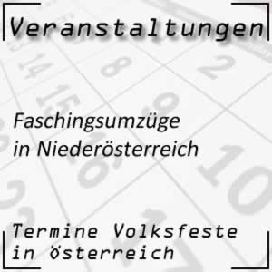 Faschingsumzug Niederösterreich