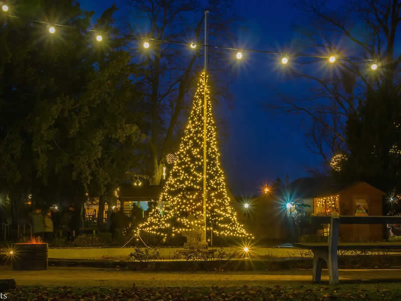 Beleuchteter Tannenbaum beim Weihnachtsmarkt in Rechnitz