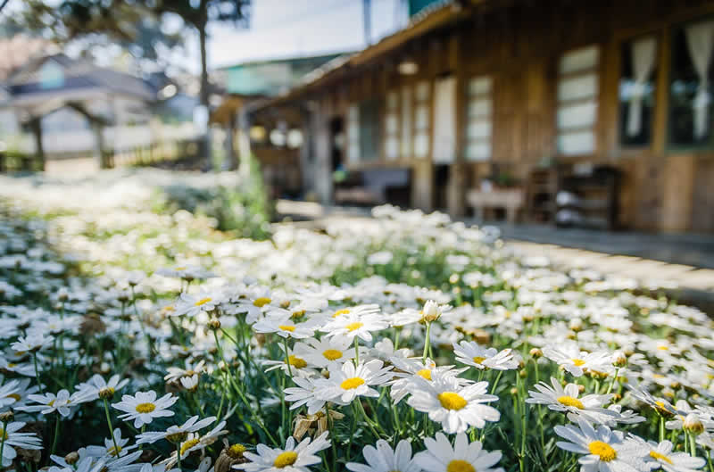 Tipps für die Gartengestaltung