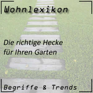 Hecke für den Garten