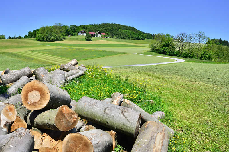 Naturpark Buchberg