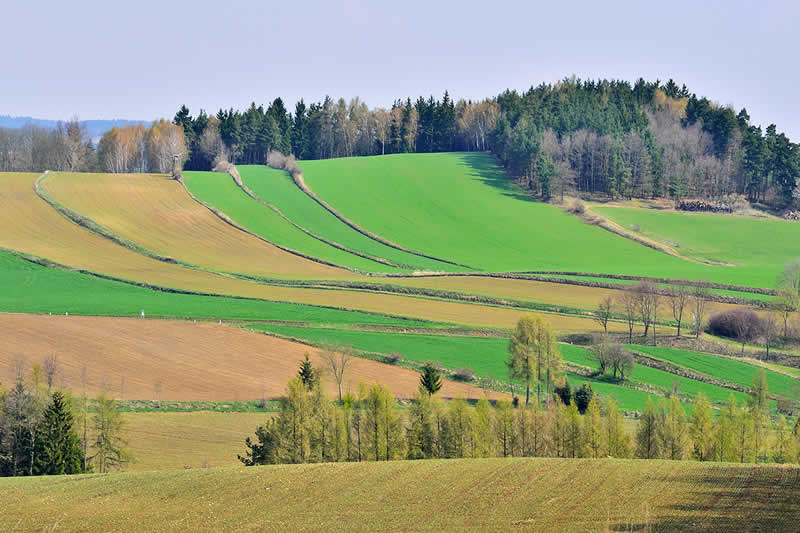 Naturpark Dobersberg