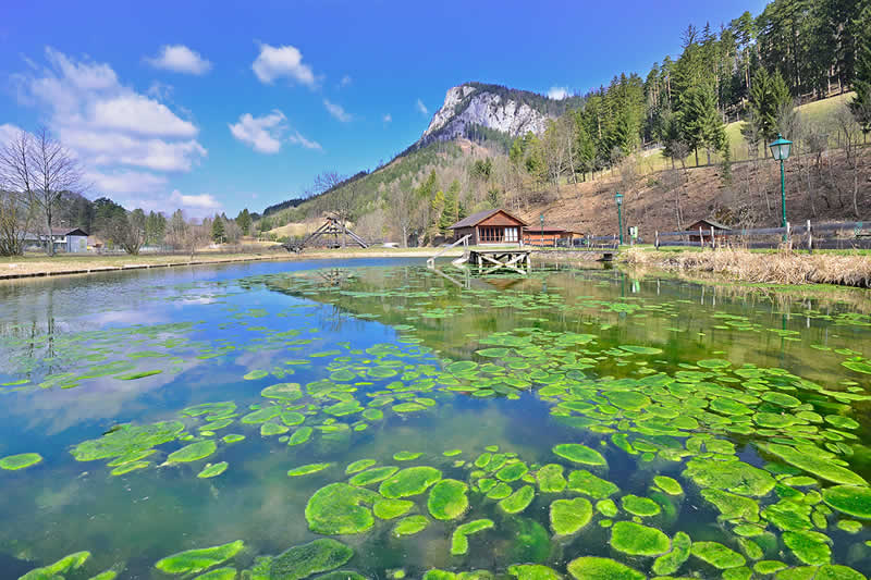 Naturpark Falkenstein