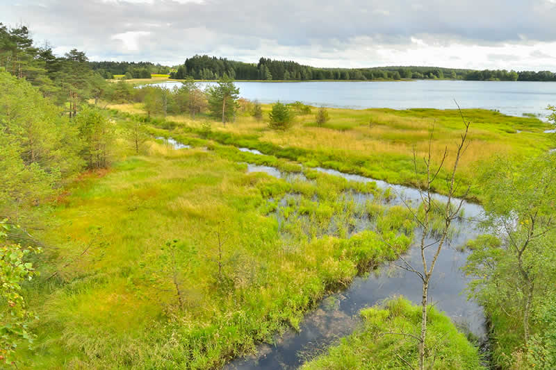 Naturpark Heidenreichsteiner Moor