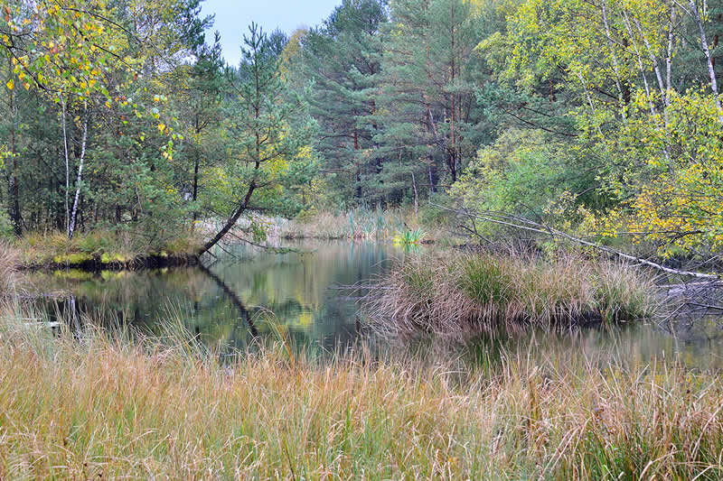 Naturpark Hochmoor Schrems