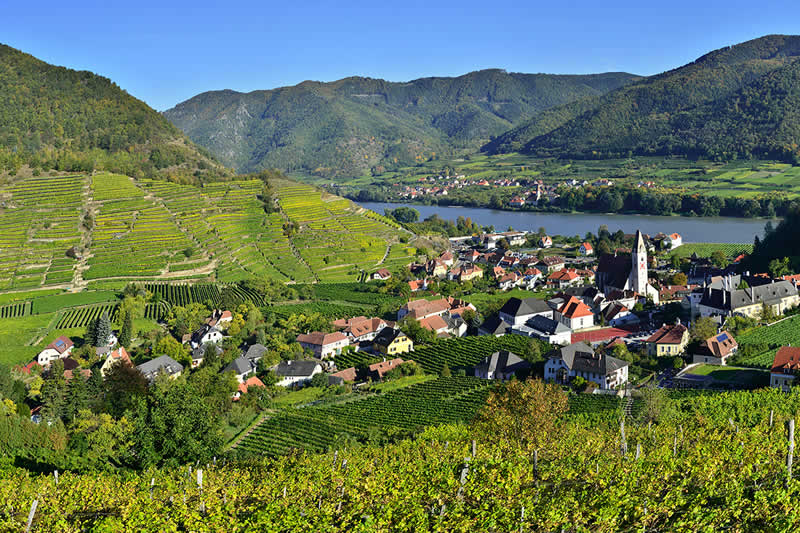 Naturpark Jauerling-Wachau