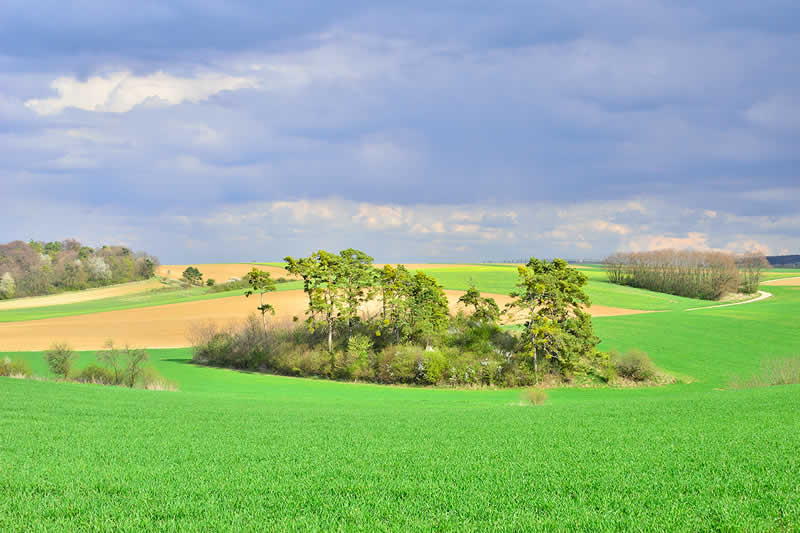 Naturpark Leiser Berge