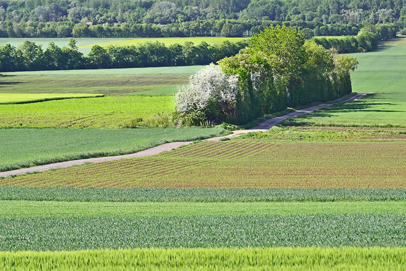 Naturpark Wüste Mannersdorf