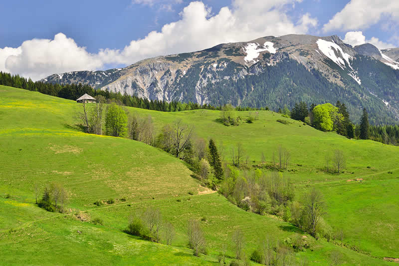 Naturpark Mürzer Oberland
