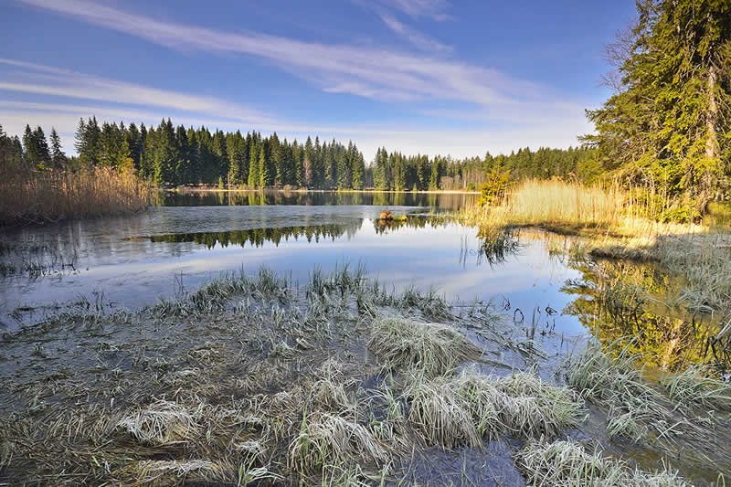 Naturpark Nordwald Bad Großpertholz