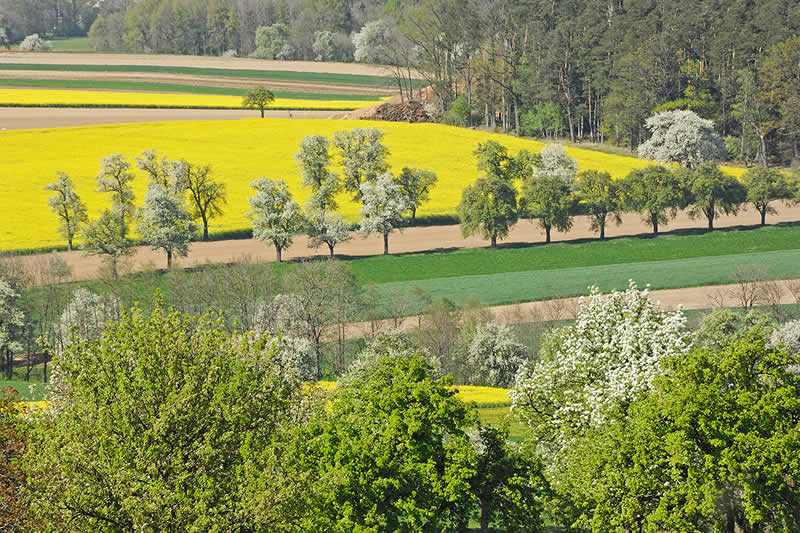 Naturpark Obst-Hügel-Land