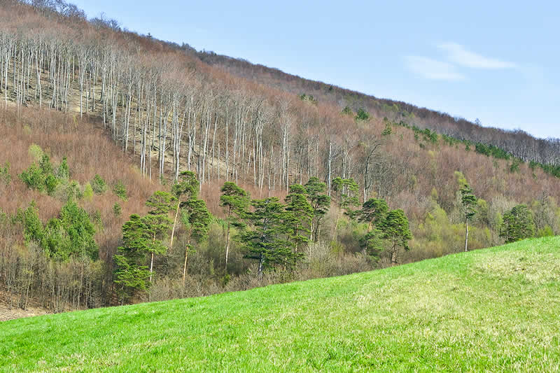 Naturpark Purkersdorf-Sandstein