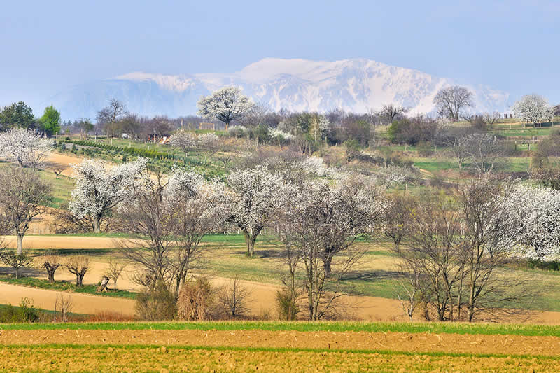 Naturpark Rosalia-Kogelberg