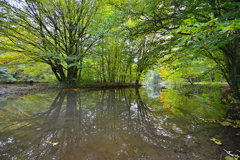 Naturpark Seebenstein