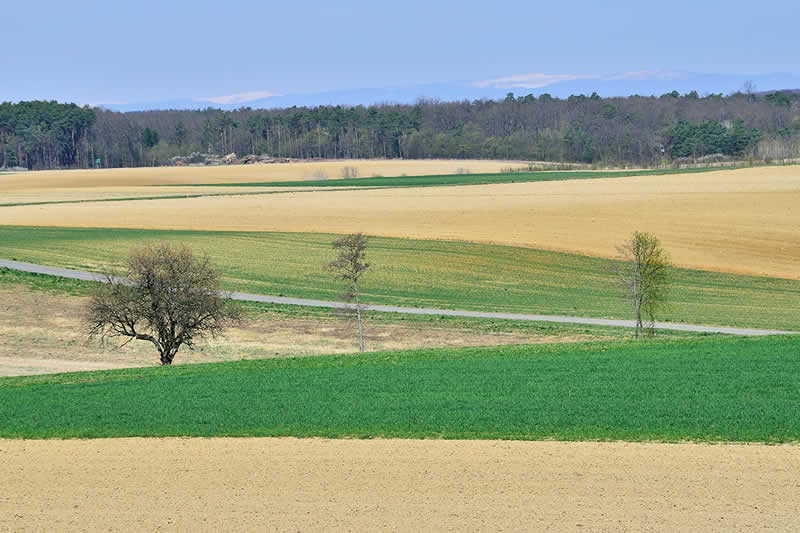 Naturpark Weinidylle