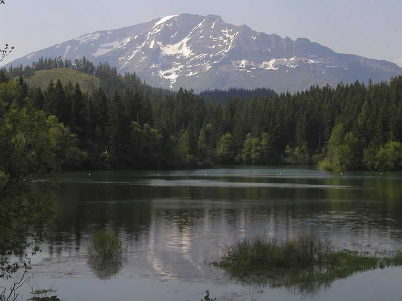 Erlaufstausee beim Ötscher Niederösterreich