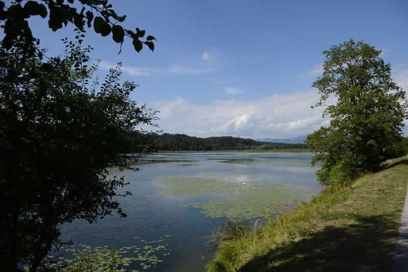 Gösselsdorfer See in Kärnten