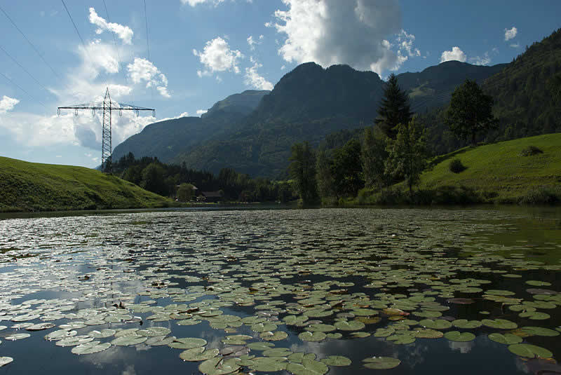 Krummsee im Tiroler Seenland