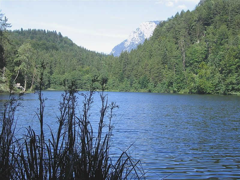 Längsee bei Kufstein Tirol