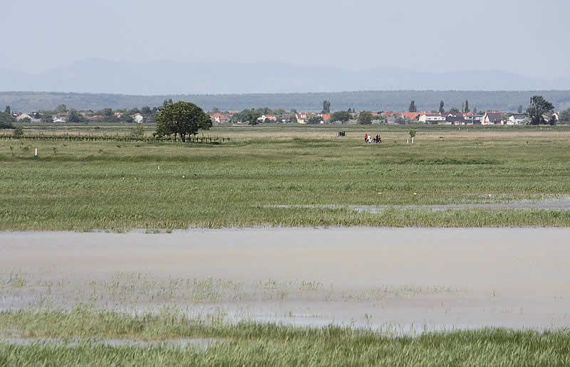 Lange Lacke im Burgenland