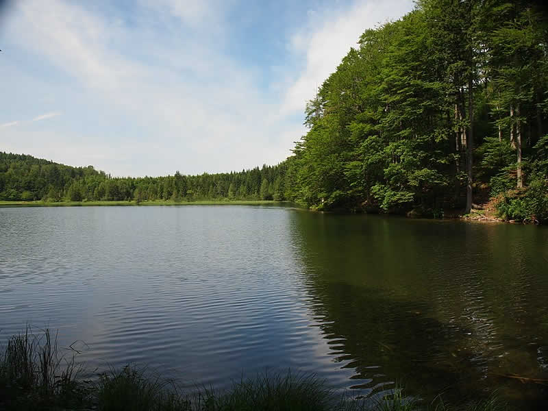 Laudachsee beim Traunstein in Oberösterreich