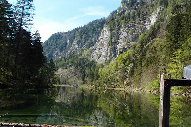 Mittersee beim Lunzer See Niederösterreich