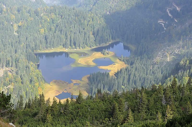 Obersee beim Lunzer See in Niederösterreich