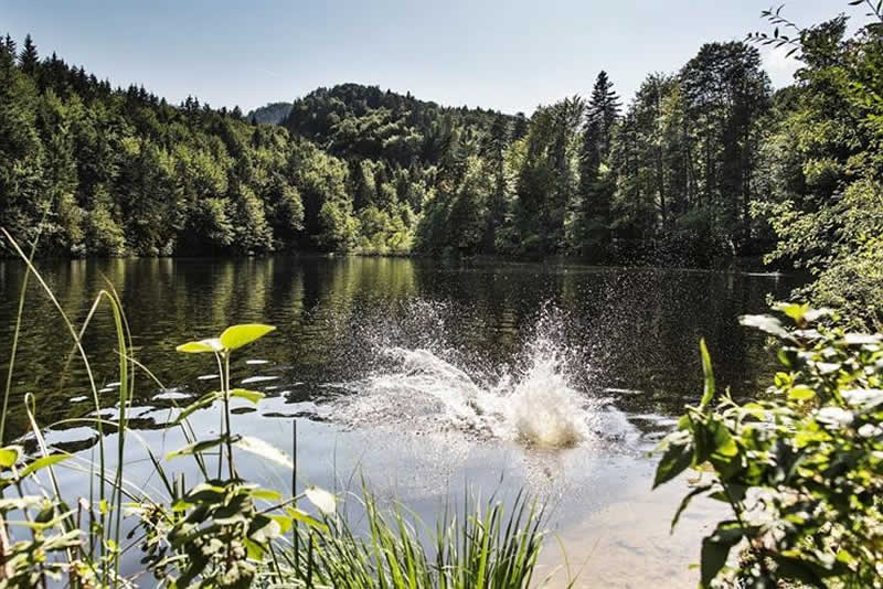 Pfrillsee bei Kufstein Tirol