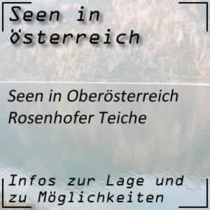 Rosenhofer Teiche bei Sandl Oberösterreich