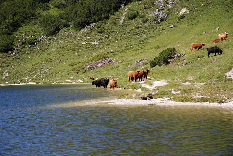 Wildensee im Toten Gebirge Steiermark